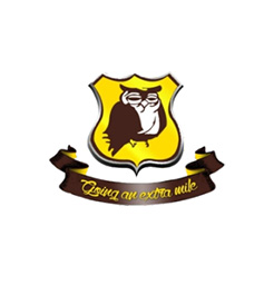 Wise Owl Group of Schools